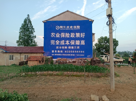 江华墙体广告为何受追捧？